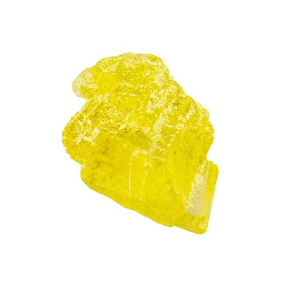 Pure Yellow Molly